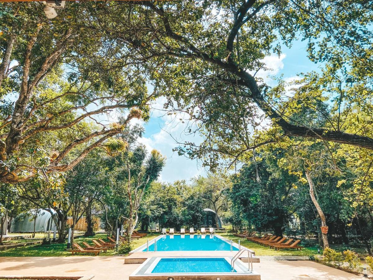 Nivadoo Resort Sigiriya Exterior foto The swimming pool at the hotel